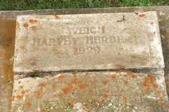 Weich, Harvey