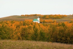 St. Peter's in the Fall