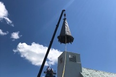 Crown-Removal-July-2020-2